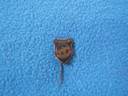 Latvian Lapel Badge
