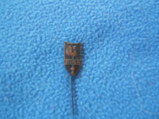 Latvian Lapel Badge