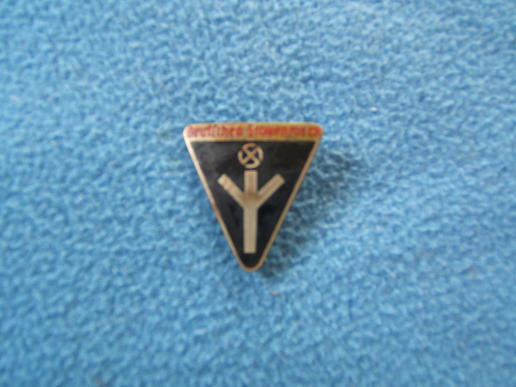 Female Political Leaders Badge
