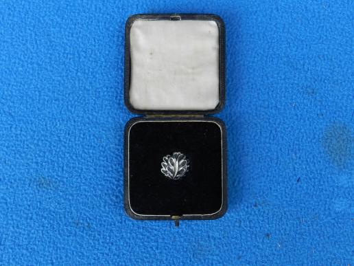 Knights Cross Oakleaf Cased Cluster